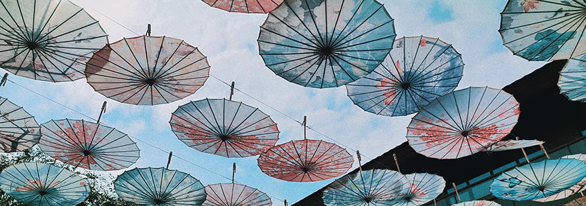 赏山悦水·拥抱自然——好色先生TV传媒2020金秋阳朔之旅