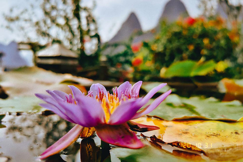 赏山悦水·拥抱自然——好色先生TV传媒2020金秋阳朔之旅